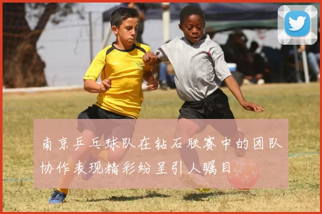 南京乒乓球队在钻石联赛中的团队协作表现精彩纷呈引人瞩目