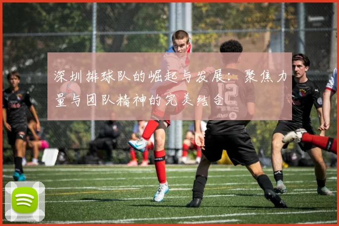 深圳排球队的崛起与发展：聚焦力量与团队精神的完美结合