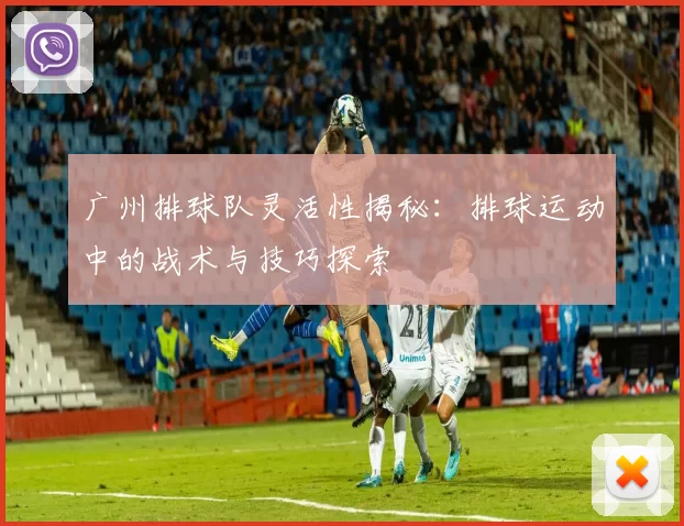 广州排球队灵活性揭秘：排球运动中的战术与技巧探索
