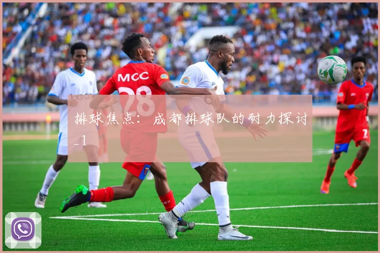 排球焦点：成都排球队的耐力探讨_1