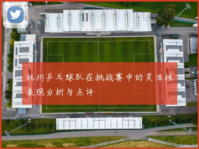 杭州乒乓球队在挑战赛中的灵活性表现分析与点评