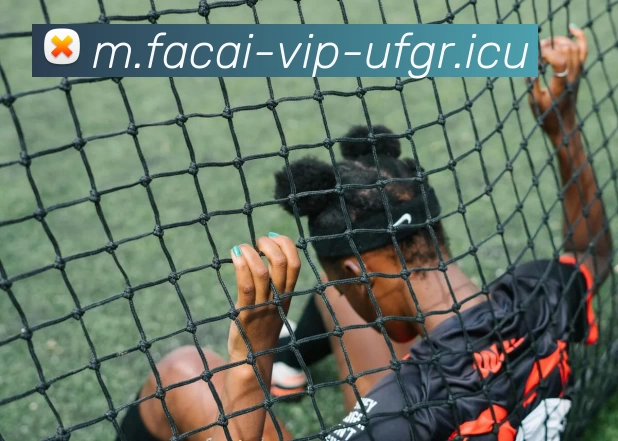 乐竞体育APP 高清赛事图